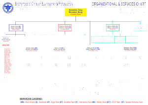 Org Service Chart March 18 2015 INT